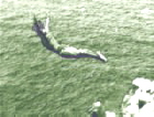 Cliff Diver Cliff Diver